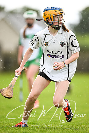 Castledawson v Loup (31 of 101)