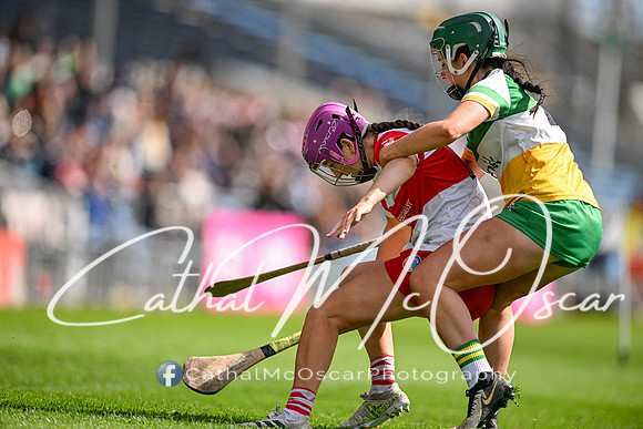 Derry v Offaly (44 of 148)