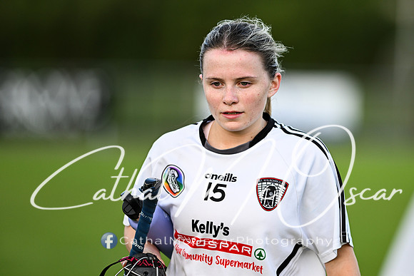 Castledawson v Ballerin-22