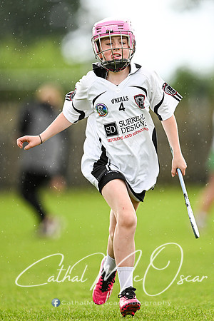 Castledawson v Loup (33 of 101)