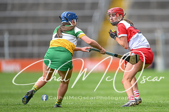 Derry v Offaly (106 of 148)