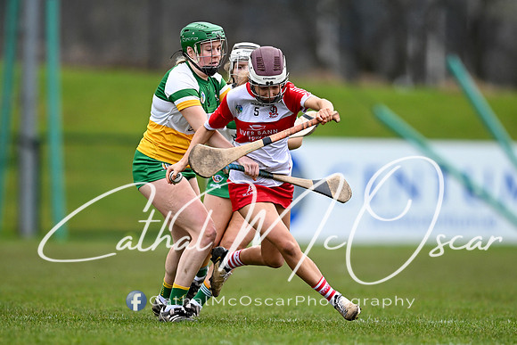 Derry v Offaly (6 of 142)