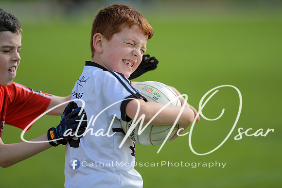 Castledawson U9 Tournament (61 of 250)