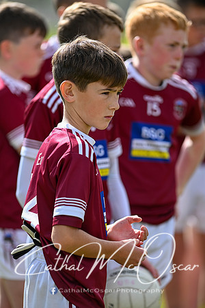U11 Desertmartin Tournament (17 of 87)