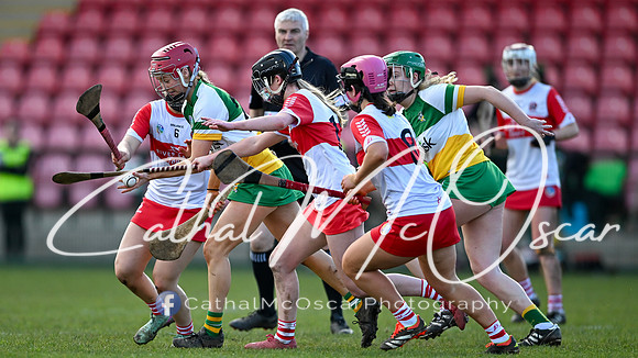 Derry v Offaly (89 of 142)