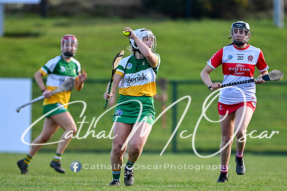 Derry v Offaly (109 of 142)