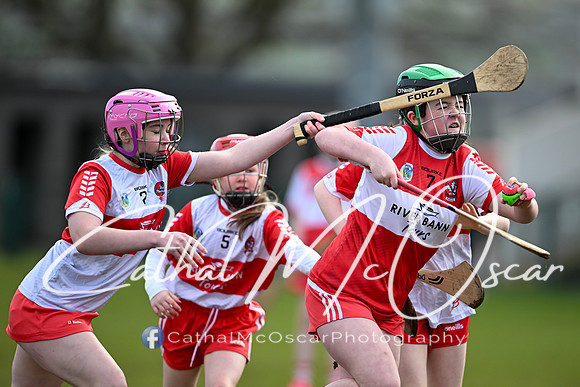 Derry v Offaly (64 of 142)