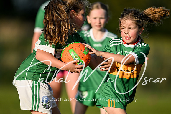 Ballymaguigan v Loup-27
