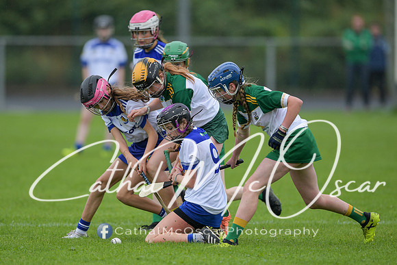 Derry Camogie U15 Feile (8 of 395)
