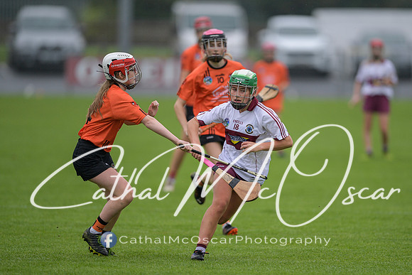Derry Camogie U15 Feile (15 of 395)