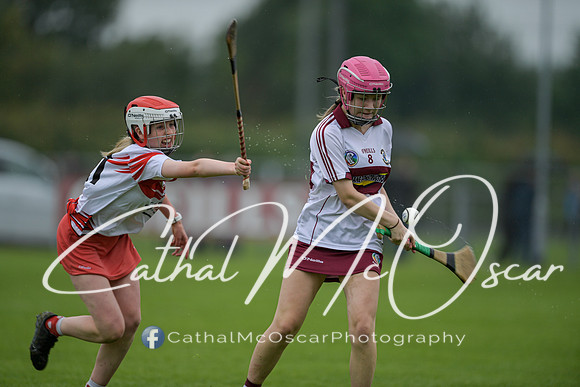 Derry Camogie U15 Feile (42 of 395)