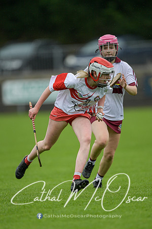 Derry Camogie U15 Feile (45 of 395)