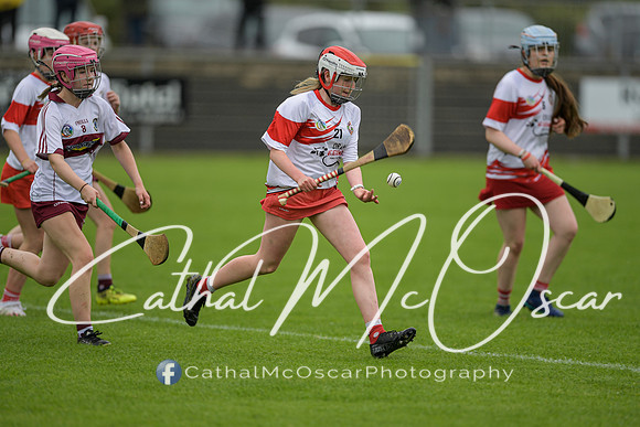 Derry Camogie U15 Feile (56 of 395)