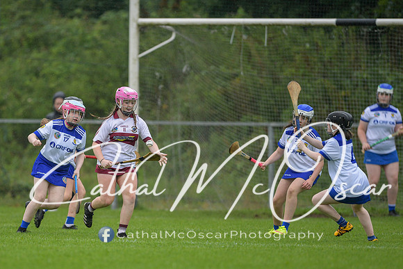 Derry Camogie U15 Feile (105 of 395)