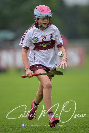 Derry Camogie U15 Feile (125 of 395)