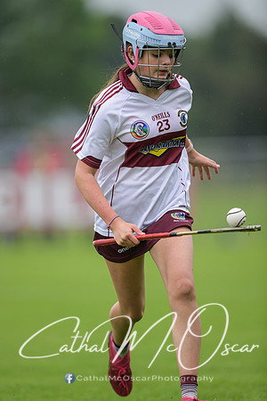 Derry Camogie U15 Feile (126 of 395)