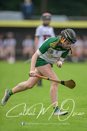 Derry Camogie U15 Feile (132 of 395)