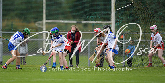 Derry Camogie U15 Feile (149 of 395)