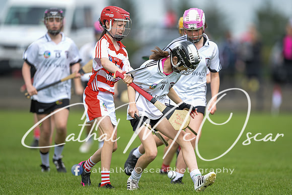 Derry Camogie U15 Feile (166 of 395)