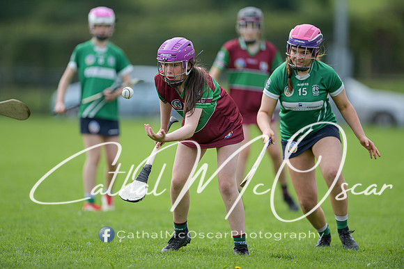Derry Camogie U15 Feile (201 of 395)