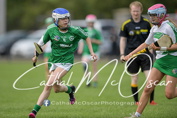 Derry Camogie U15 Feile (214 of 395)