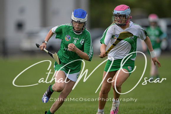 Derry Camogie U15 Feile (215 of 395)