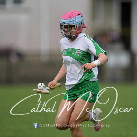 Derry Camogie U15 Feile (220 of 395)