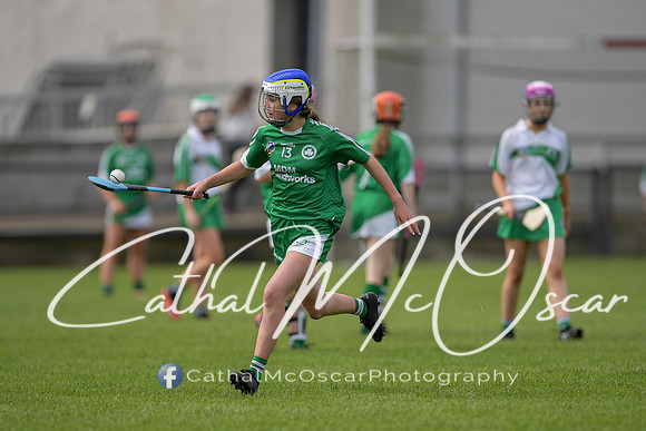 Derry Camogie U15 Feile (226 of 395)