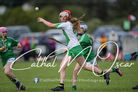 Derry Camogie U15 Feile (223 of 395)