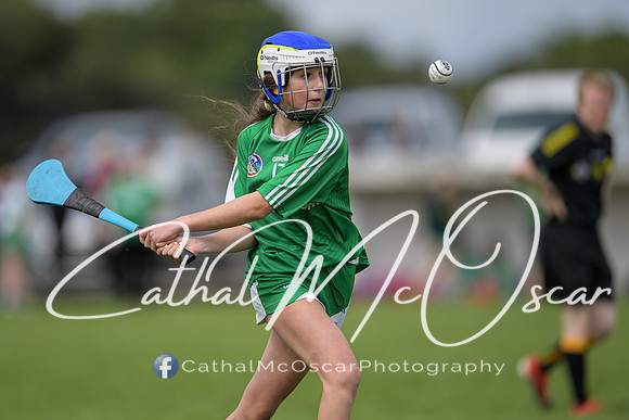 Derry Camogie U15 Feile (225 of 395)