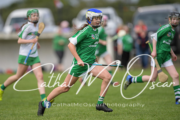 Derry Camogie U15 Feile (231 of 395)