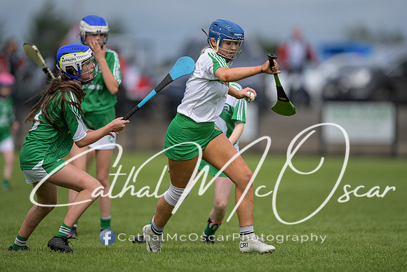 Derry Camogie U15 Feile (233 of 395)