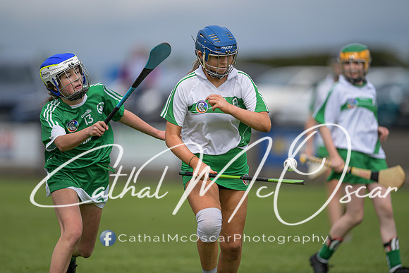 Derry Camogie U15 Feile (234 of 395)