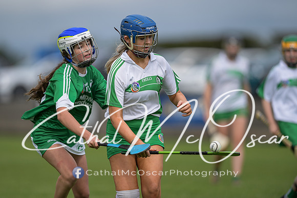 Derry Camogie U15 Feile (235 of 395)