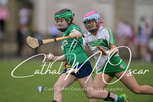 Derry Camogie U15 Feile (246 of 395)