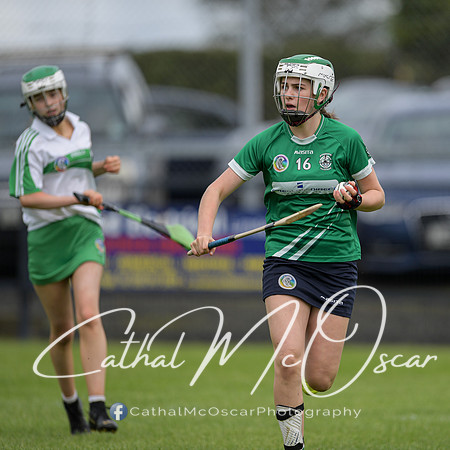 Derry Camogie U15 Feile (249 of 395)