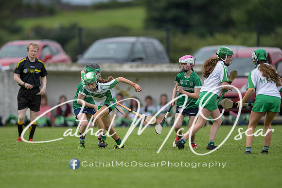 Derry Camogie U15 Feile (250 of 395)