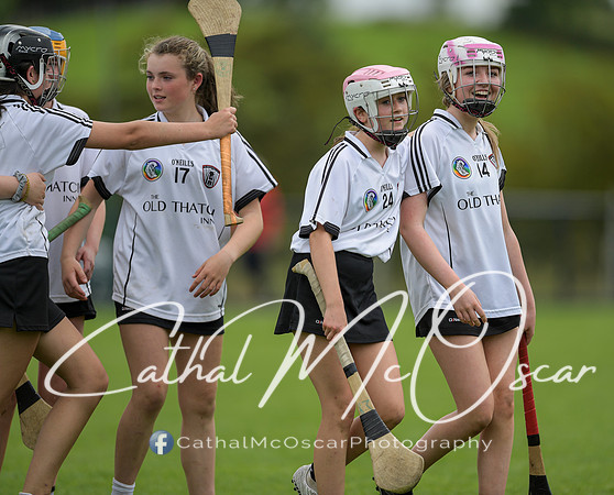 Derry Camogie U15 Feile (277 of 395)