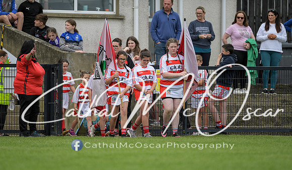 Derry Camogie U15 Feile (314 of 395)