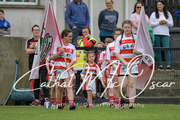 Derry Camogie U15 Feile (315 of 395)