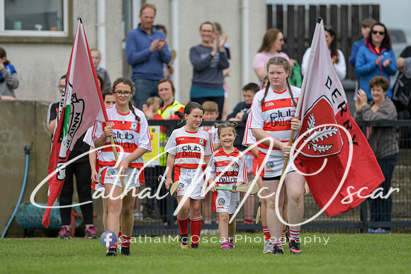 Derry Camogie U15 Feile (316 of 395)