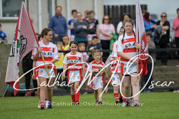 Derry Camogie U15 Feile (318 of 395)