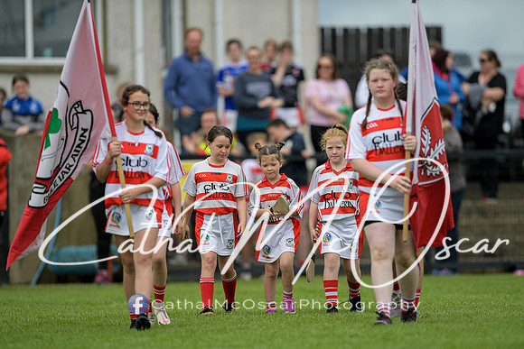 Derry Camogie U15 Feile (320 of 395)