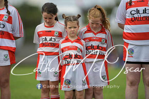 Derry Camogie U15 Feile (327 of 395)