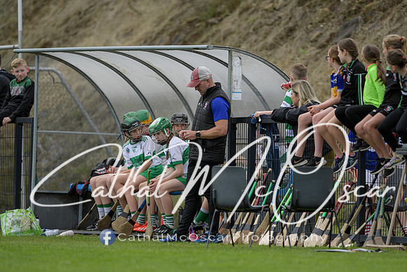 Derry Camogie U15 Feile (335 of 395)