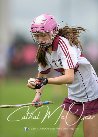 Derry Camogie U15 Feile (348 of 395)