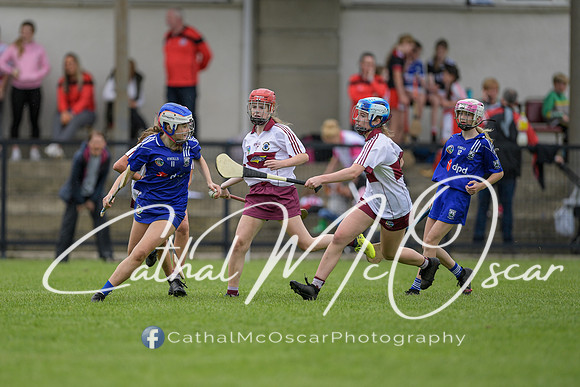 Derry Camogie U15 Feile (354 of 395)