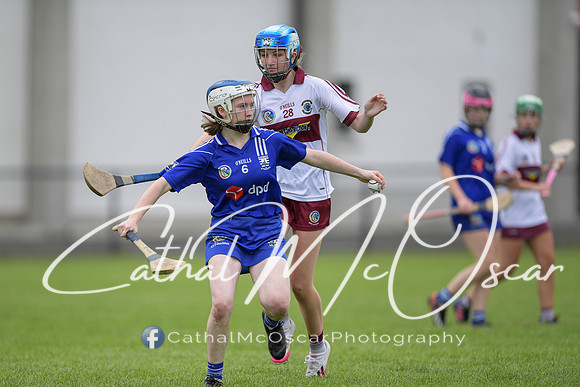 Derry Camogie U15 Feile (353 of 395)