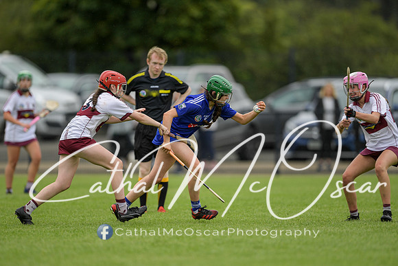 Derry Camogie U15 Feile (356 of 395)