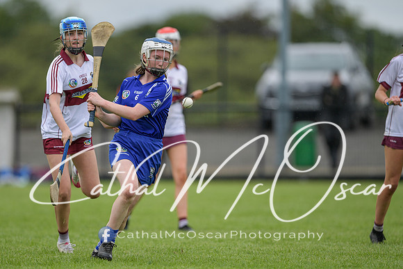 Derry Camogie U15 Feile (360 of 395)